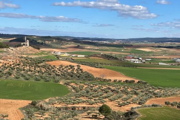 Albaladejo del Cuende