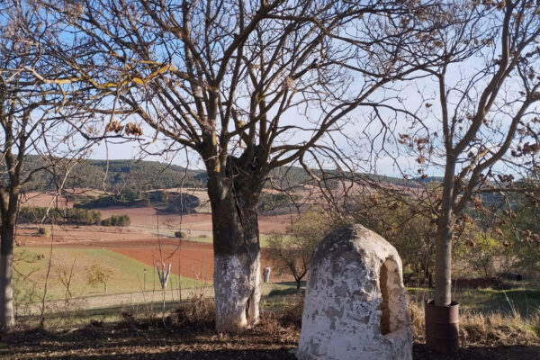 Albaladejo del Cuende