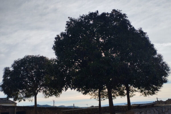 Albaladejo del Cuende