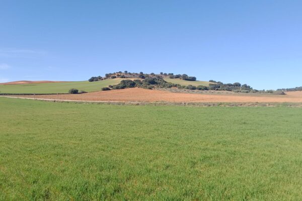 Alto de la Tenderilla