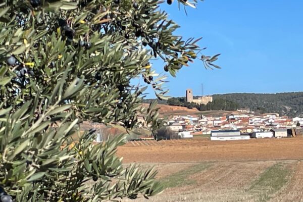 Albaladejo del Cuende